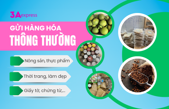 hàng hóa thông thường